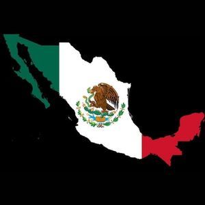 Meet your Posher, Alison